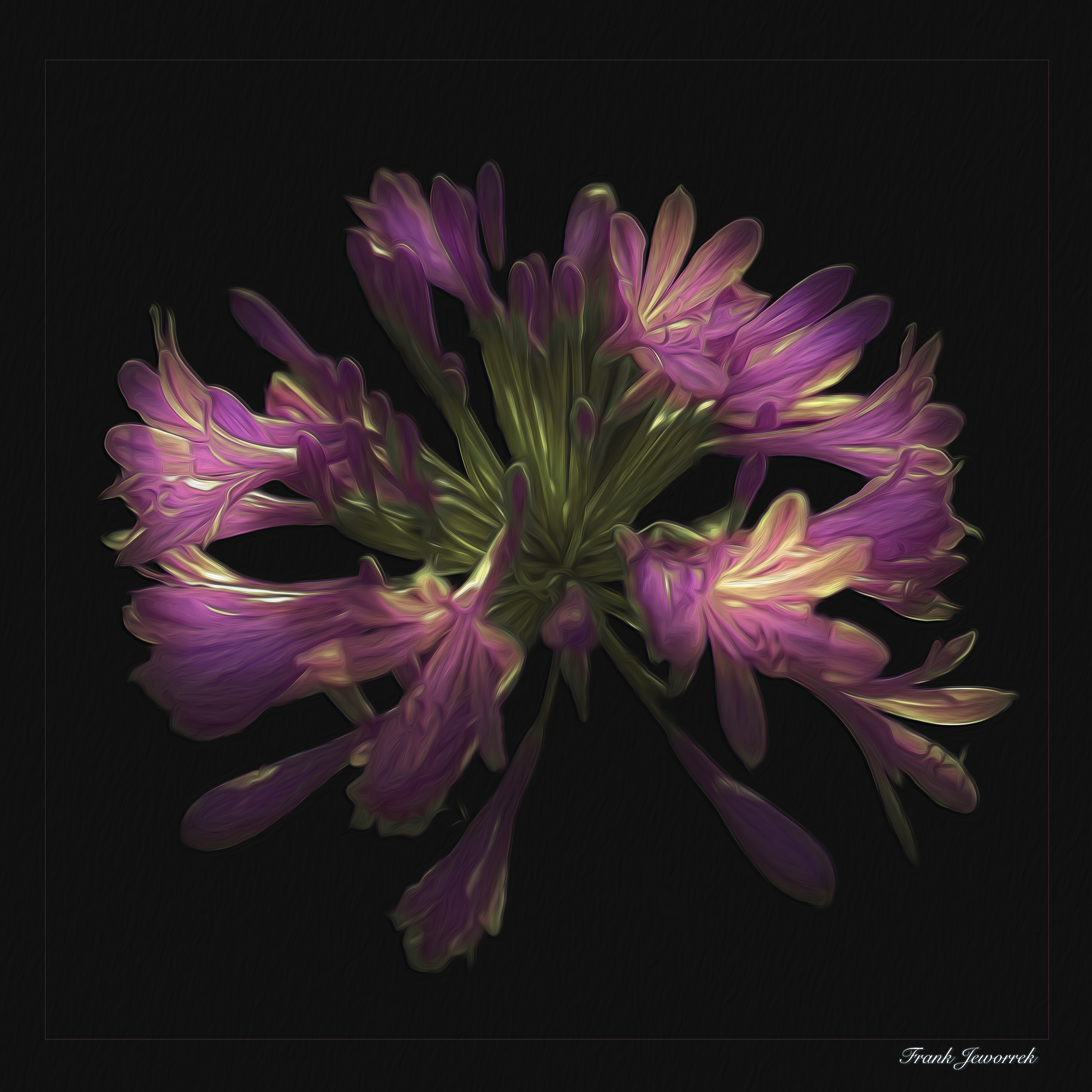 Blüte von Madeira