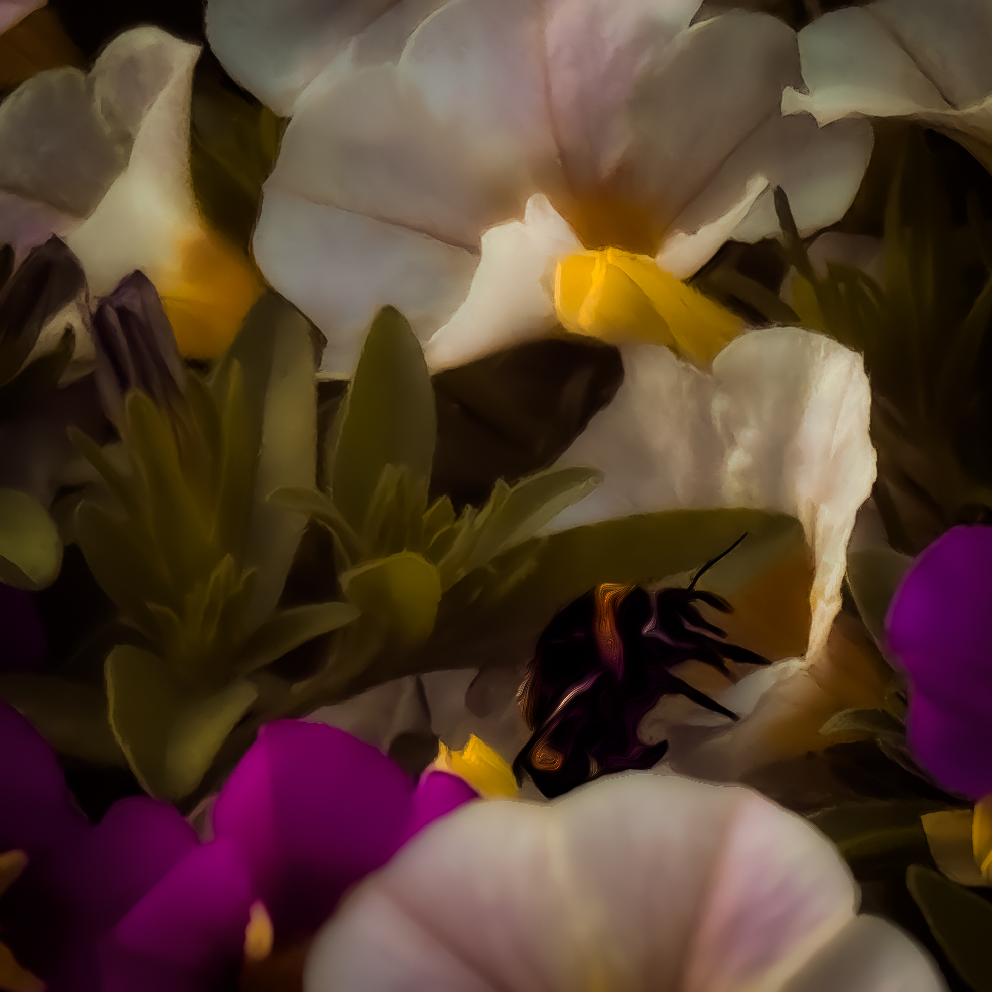 Kübelpflanze mit Hummel